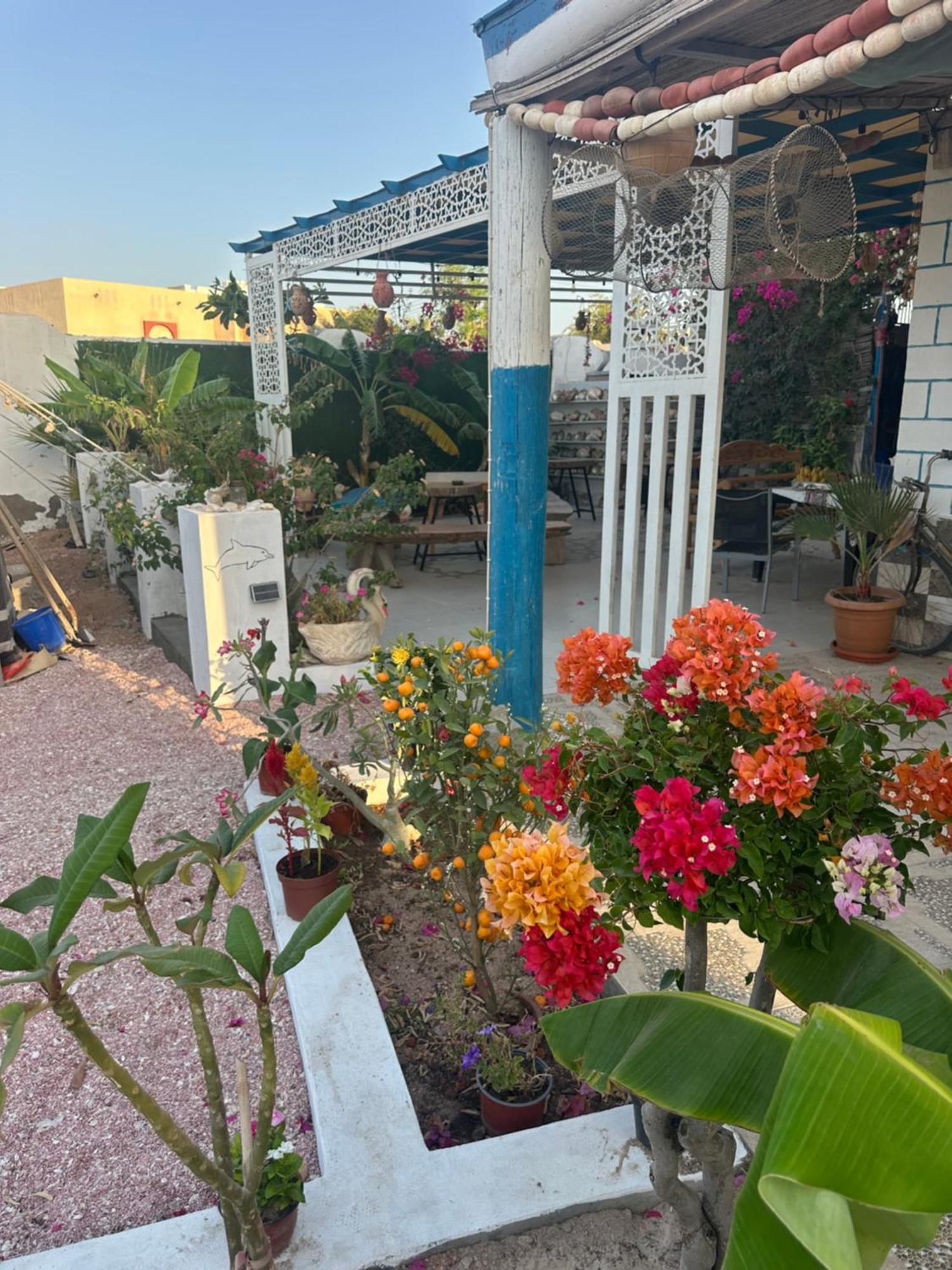Salem Fish Guest House Ras al Hadd 外观 照片
