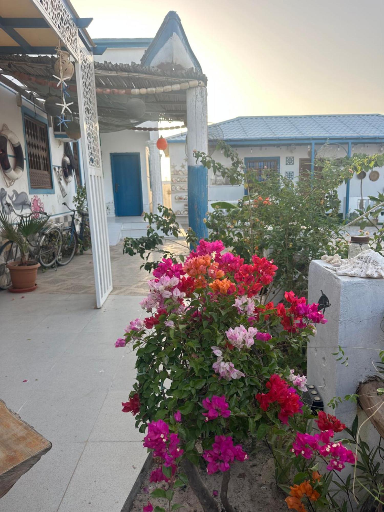 Salem Fish Guest House Ras al Hadd 外观 照片