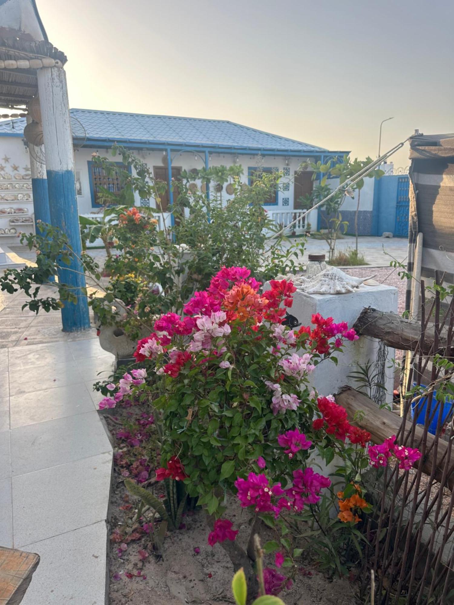 Salem Fish Guest House Ras al Hadd 外观 照片