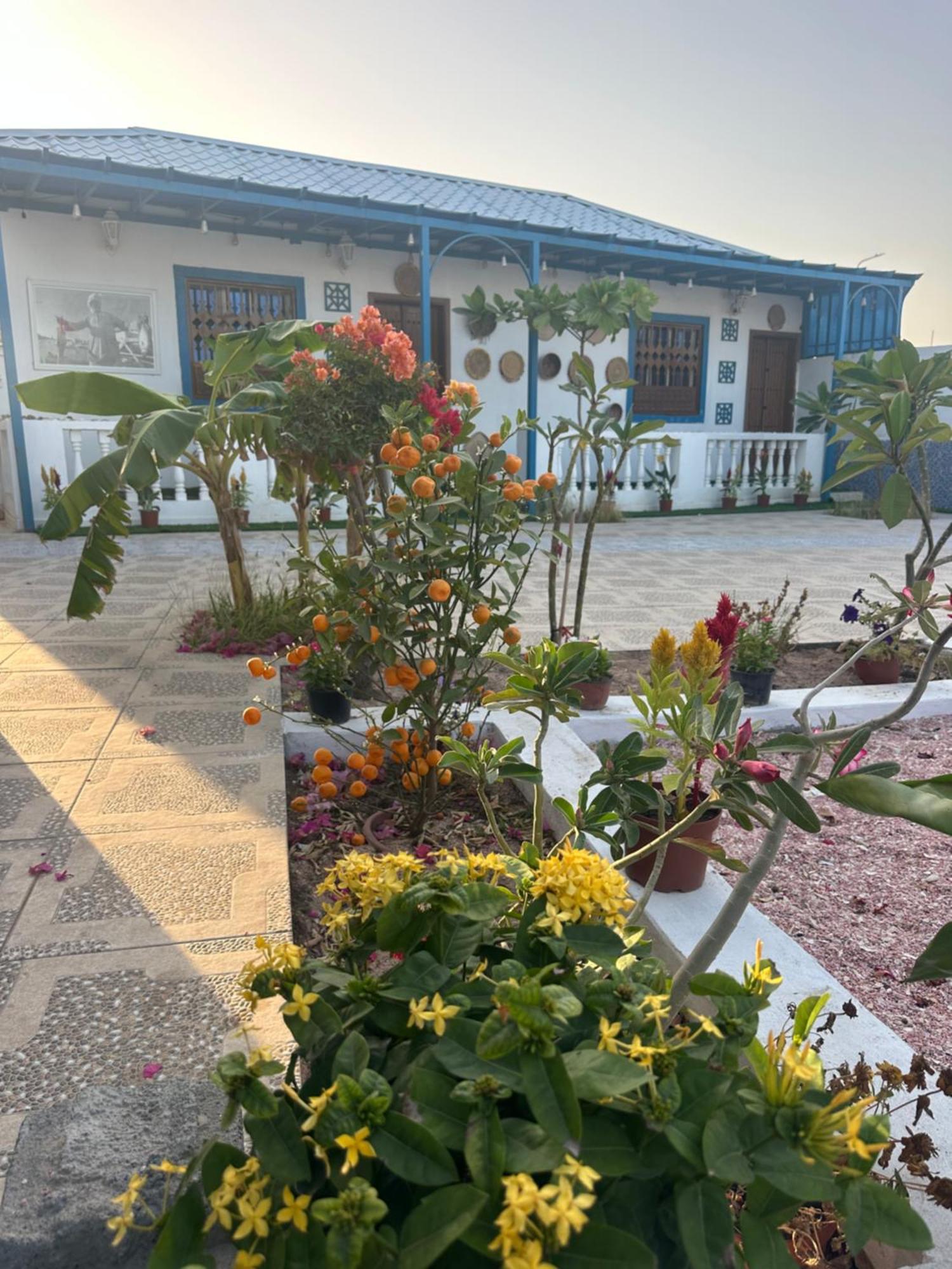 Salem Fish Guest House Ras al Hadd 外观 照片